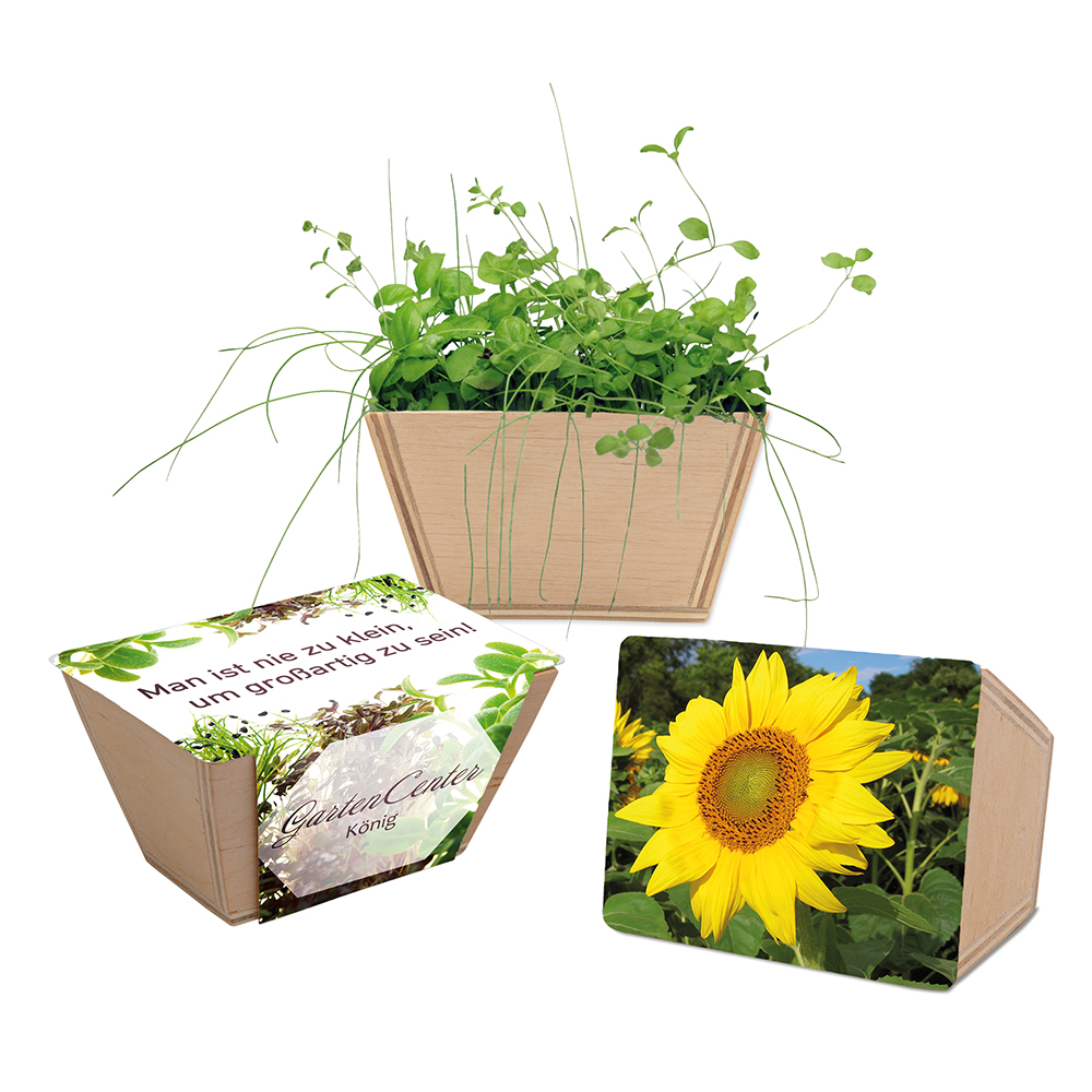 Mini-Beet mit Samen - Sonnenblume, Lasergravur