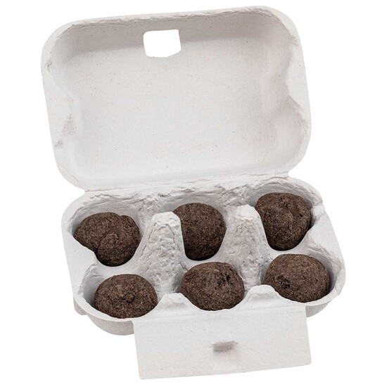 Sixpack - Flower-Balls Midi mit Samen - mit Digitaldruck