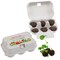 Sixpack - Flower-Balls Midi mit Samen - mit Digitaldruck