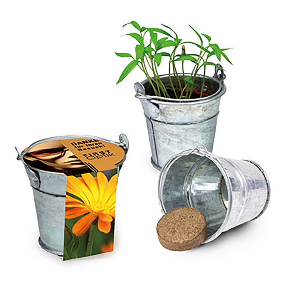Pflanzeimerchen mit Samen - Ringelblume
