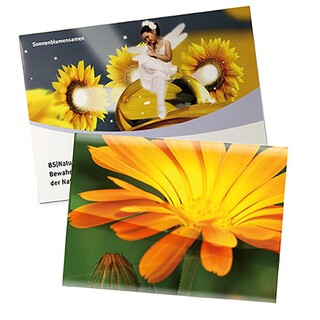 Samentütchen Groß - Standardpapier - Ringelblume