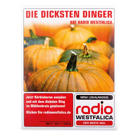 Samentütchen Groß - Standardpapier - Vergissmeinicht