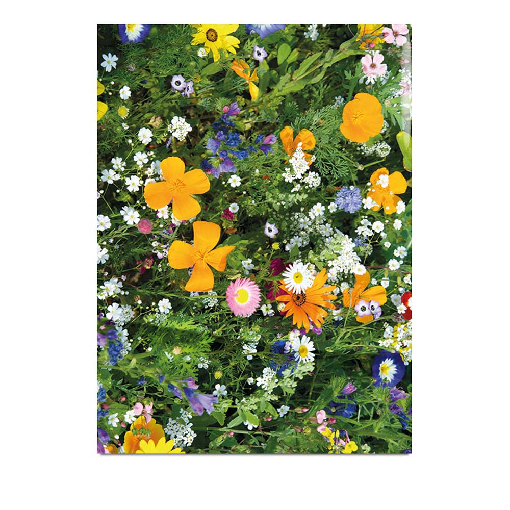 Samentütchen Klein - Standardmotiv  - Sommerblumenmischung - Standardmotiv  - Sommerblumenmischung