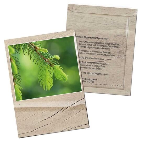 Samentütchen Mini - Standardmotiv  - Fichte - Standardmotiv  - Fichte