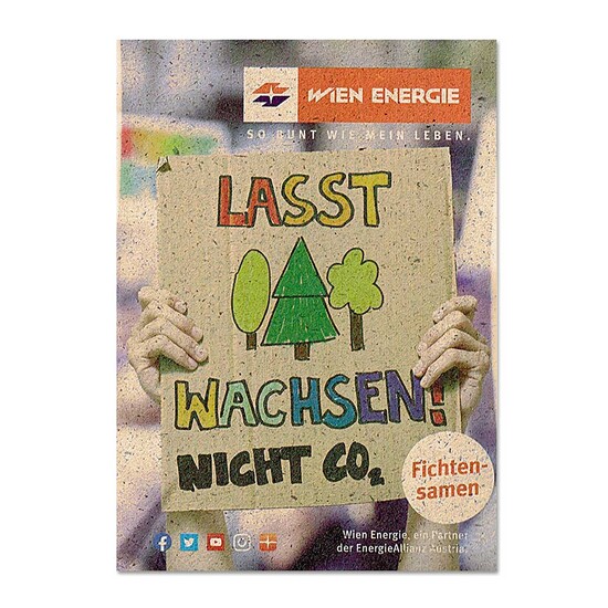 Samentütchen Mini - Graspapier - Basilikum