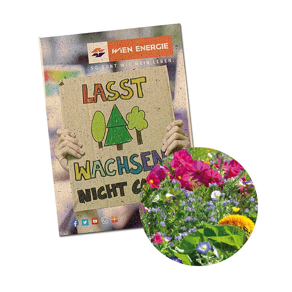 Samentütchen Mini - Graspapier - Sommerblumenmischung