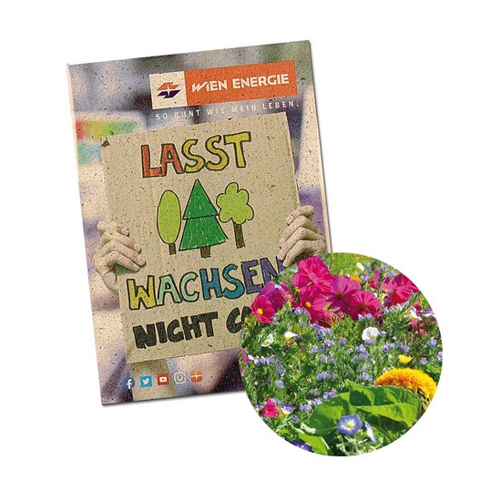 Samentütchen Mini - Graspapier - Sommerblumenmischung