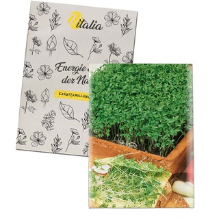 Samentütchen Mini - Recyclingpapier - Gartenkresse