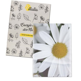 Samentütchen Mini - Recyclingpapier - Margerite