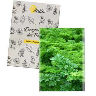 Samentütchen Mini - Recyclingpapier - Petersilie