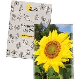 Samentütchen Mini - Recyclingpapier - Sonnenblumen