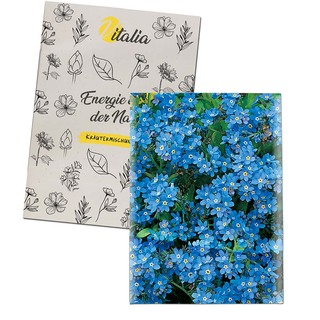 Samentütchen Mini - Recyclingpapier - Vergissmeinnicht