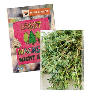 Samentütchen Klein - Graspapier - Thymian