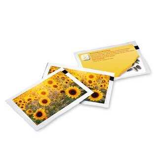Samen-Briefchen - Standardmotiv - Sonnenblume - Sonnenblume