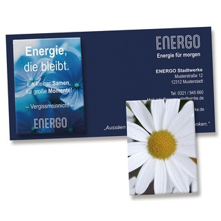 Samentütchen auf Werbekarte - Margerite