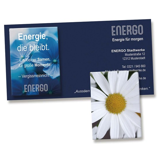 Samentütchen auf Werbekarte - Margerite