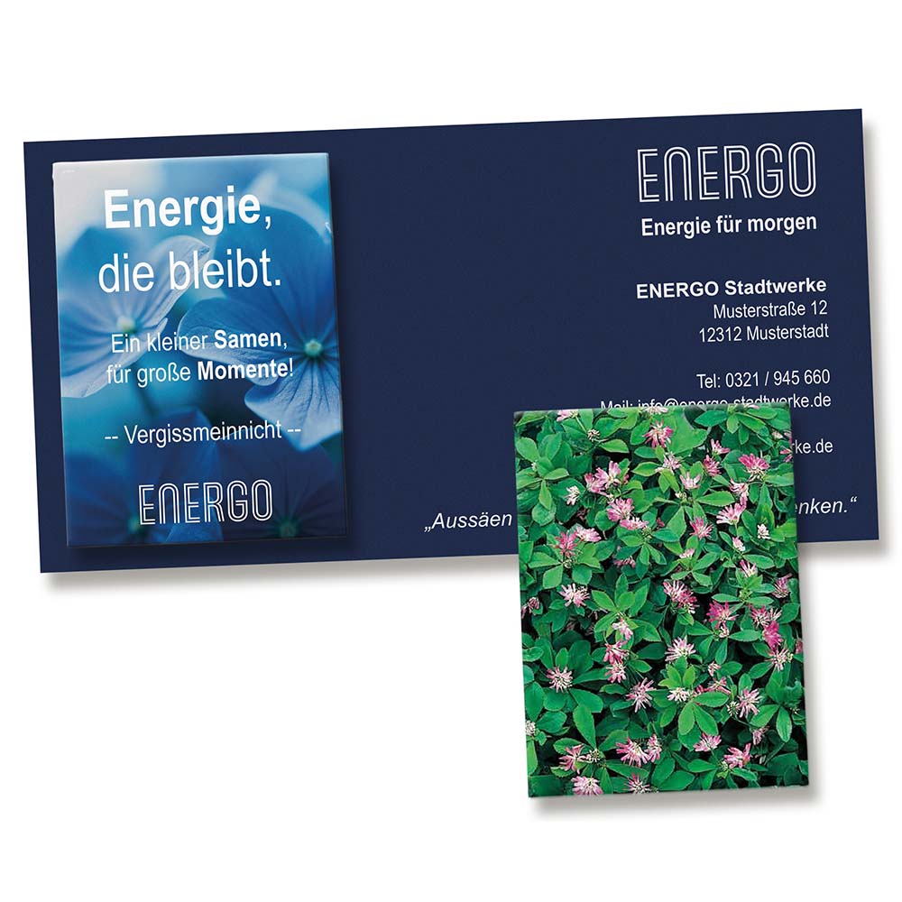 Samentütchen auf Werbekarte - Persischer Klee