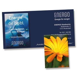 Samentütchen auf Werbekarte - Ringelblume