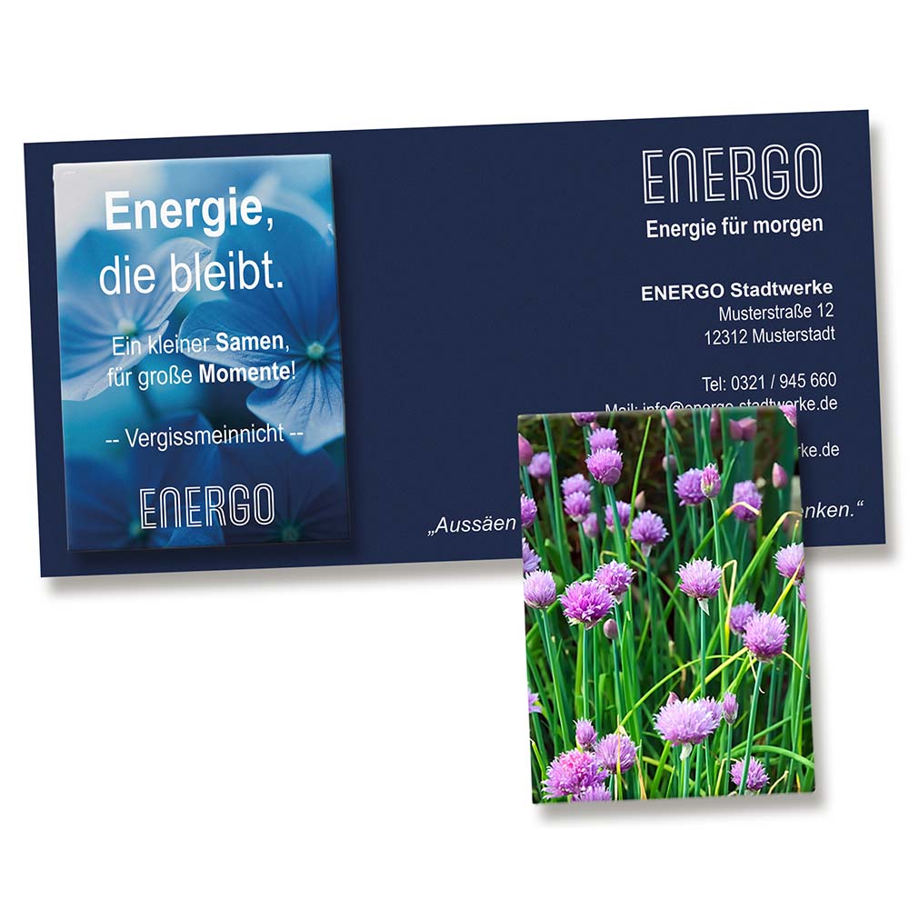 Samentütchen auf Werbekarte - Schnittlauch