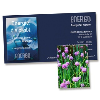 Samentütchen auf Werbekarte - Schnittlauch