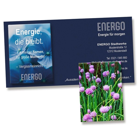 Samentütchen auf Werbekarte - Schnittlauch