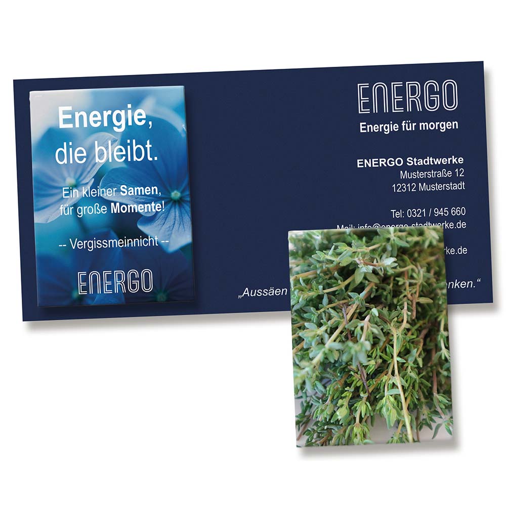 Samentütchen auf Werbekarte - Thymian