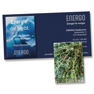 Samentütchen auf Werbekarte - Thymian