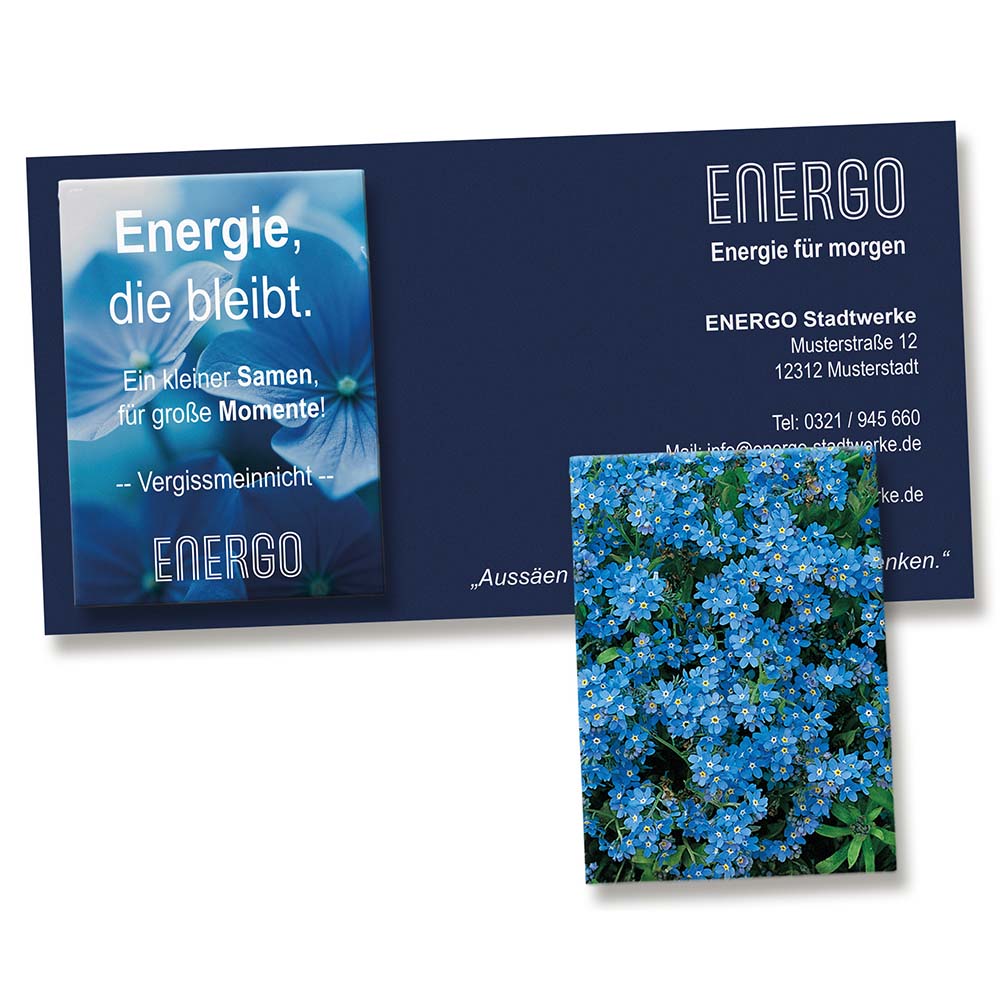Samentütchen auf Werbekarte - Vergissmeinnicht