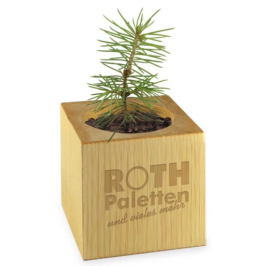 Pflanz-Holz - Standardmotiv - Frohe Weihnachten ohne Lasergravur - ohne Lasergravur