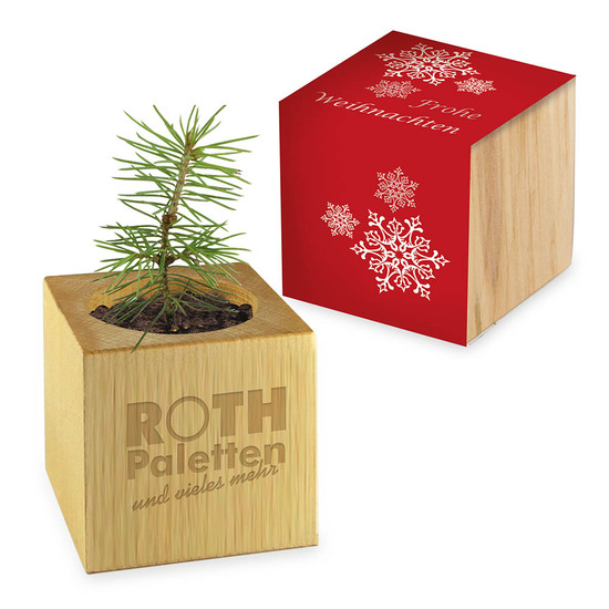 Pflanz-Holz - Standardmotiv - Frohe Weihnachten - 1 Seite gelasert