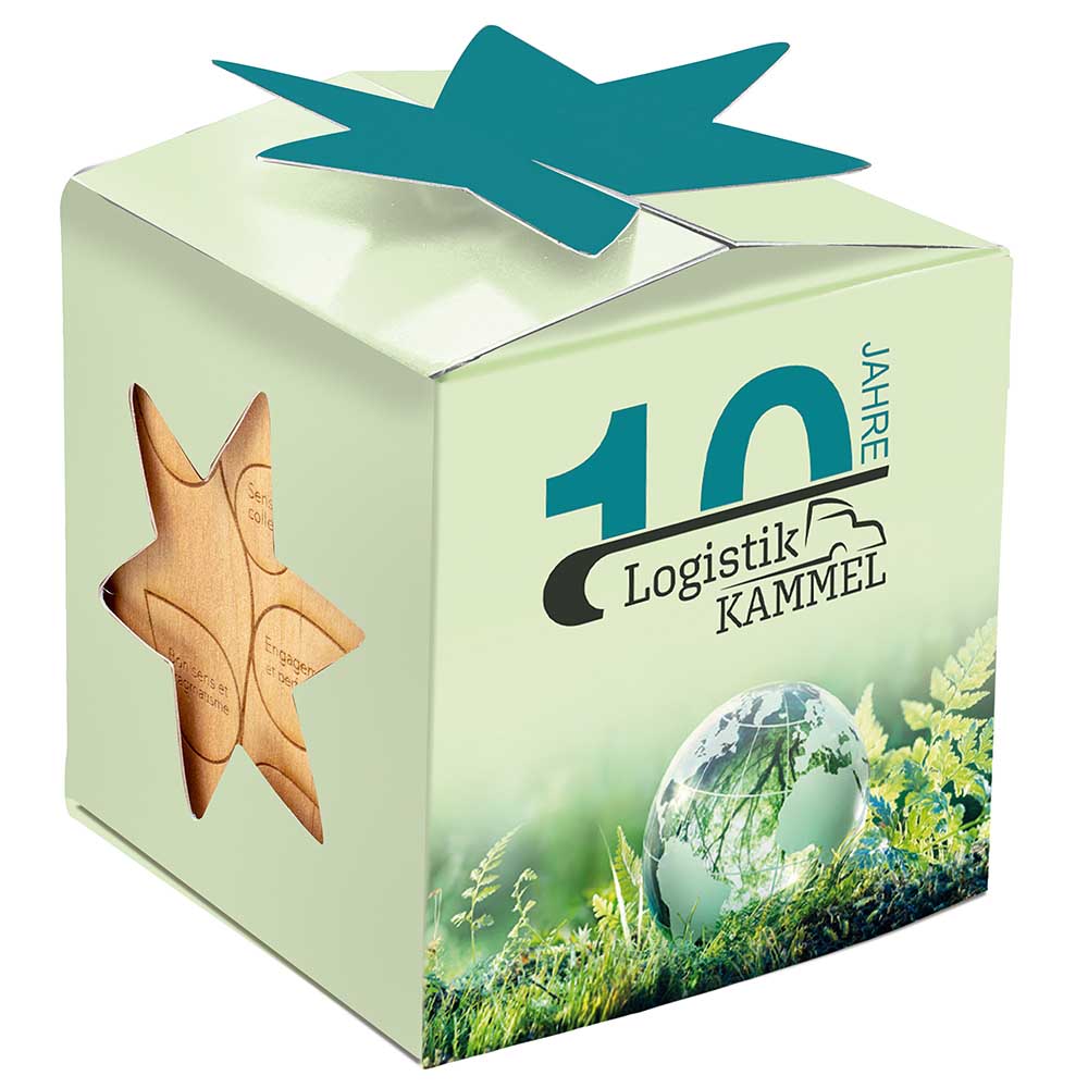Pflanz-Holz Star-Box Xmas mit Fichtensamen - Fichte