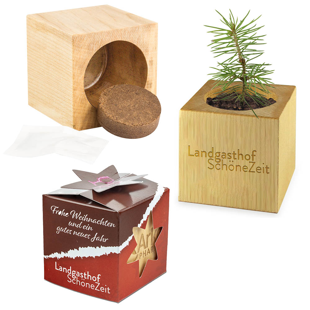 Pflanz-Holz Star-Box Xmas mit Fichtensamen - Fichte, 2 Seiten gelasert