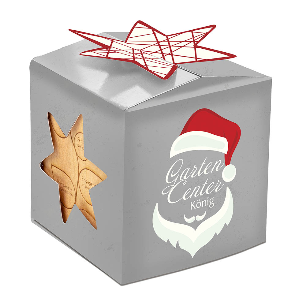 Pflanz-Holz Büro Star-Box Xmas mit Fichtensamen - Fichte, 2 Seiten gelasert