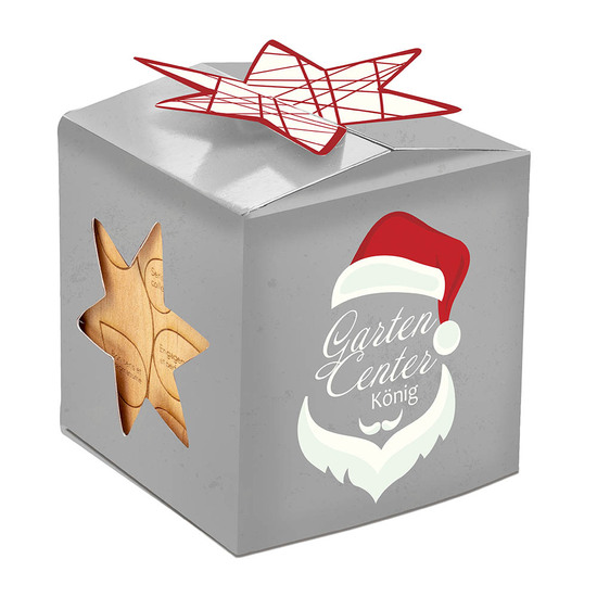Pflanz-Holz Büro Star-Box Xmas mit Fichtensamen - Fichte, 2 Seiten gelasert