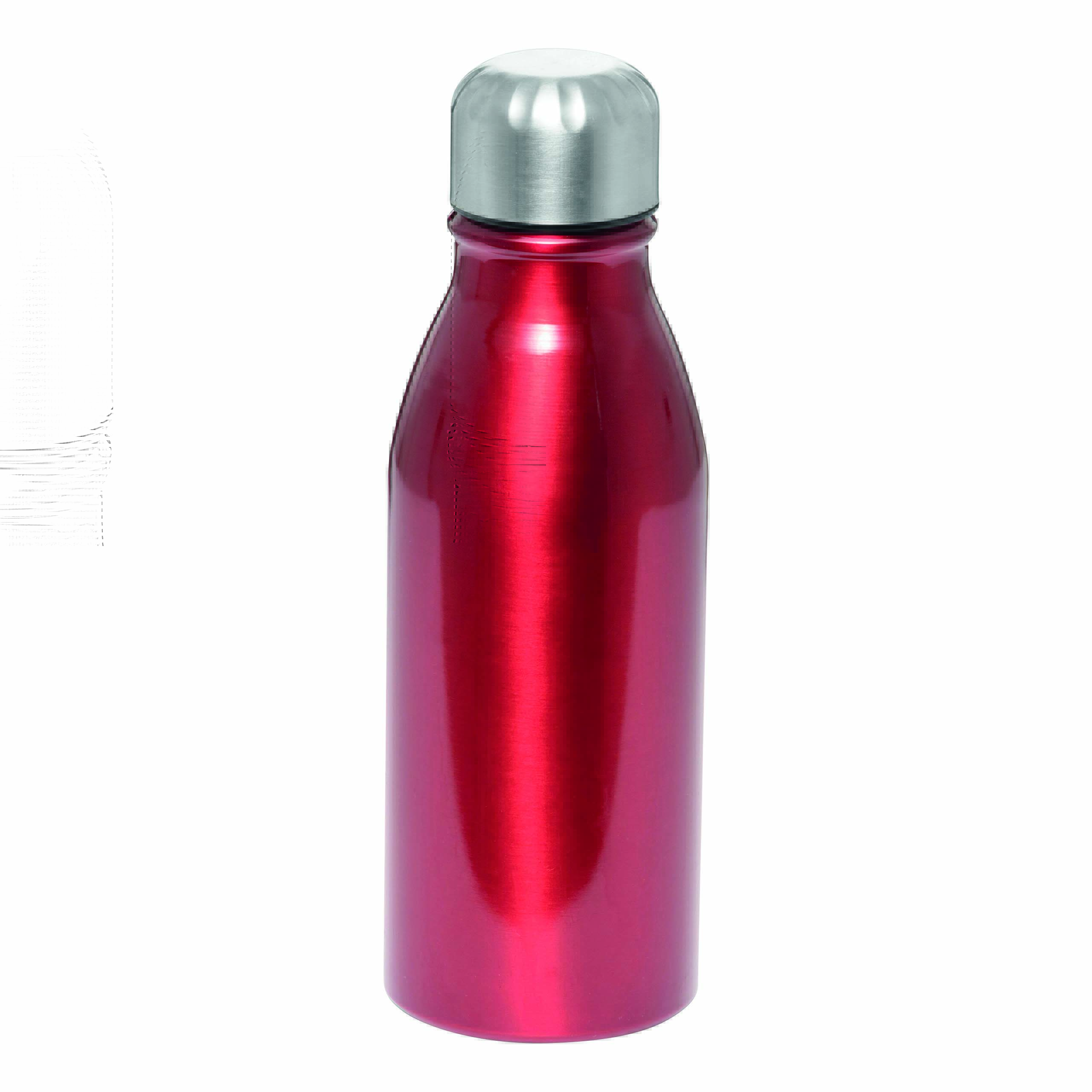 Aluminium Trinkflasche FANCY 56-0304283