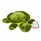 Plüsch-Schildkröte ALBERT 56-0502255