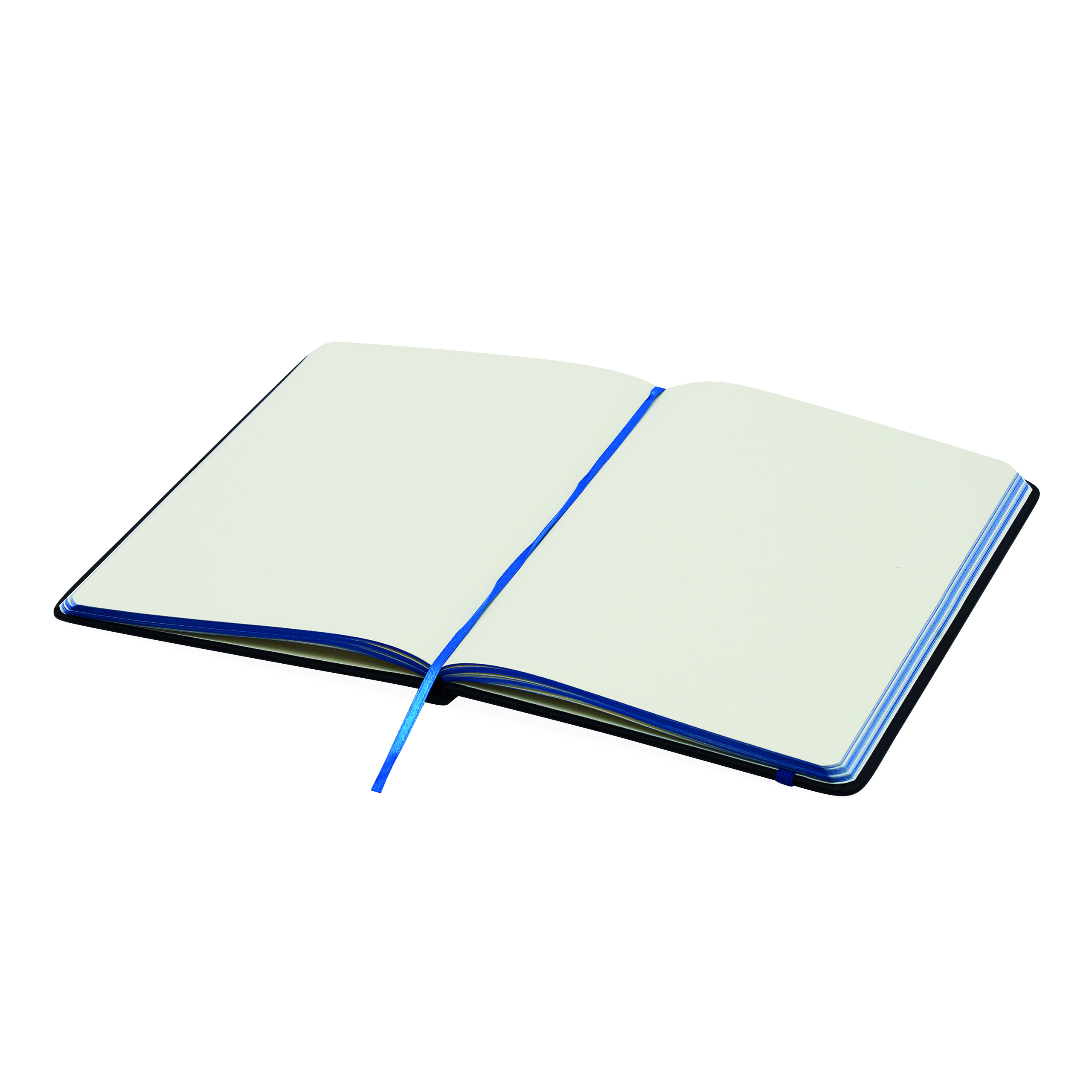 Notizbuch LECTOR im DIN-A5-Format 56-1103283
