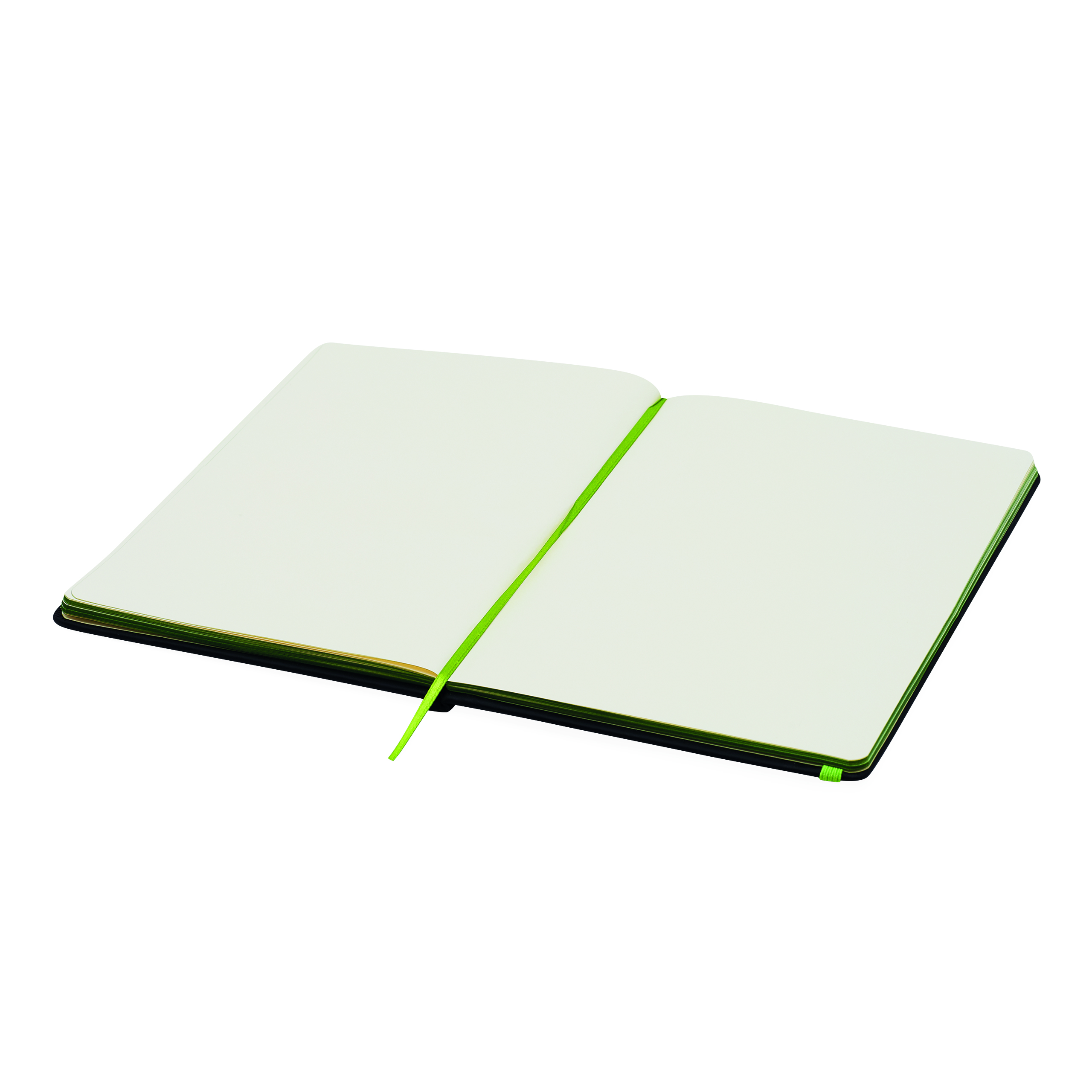 Notizbuch LECTOR im DIN-A5-Format 56-1103285