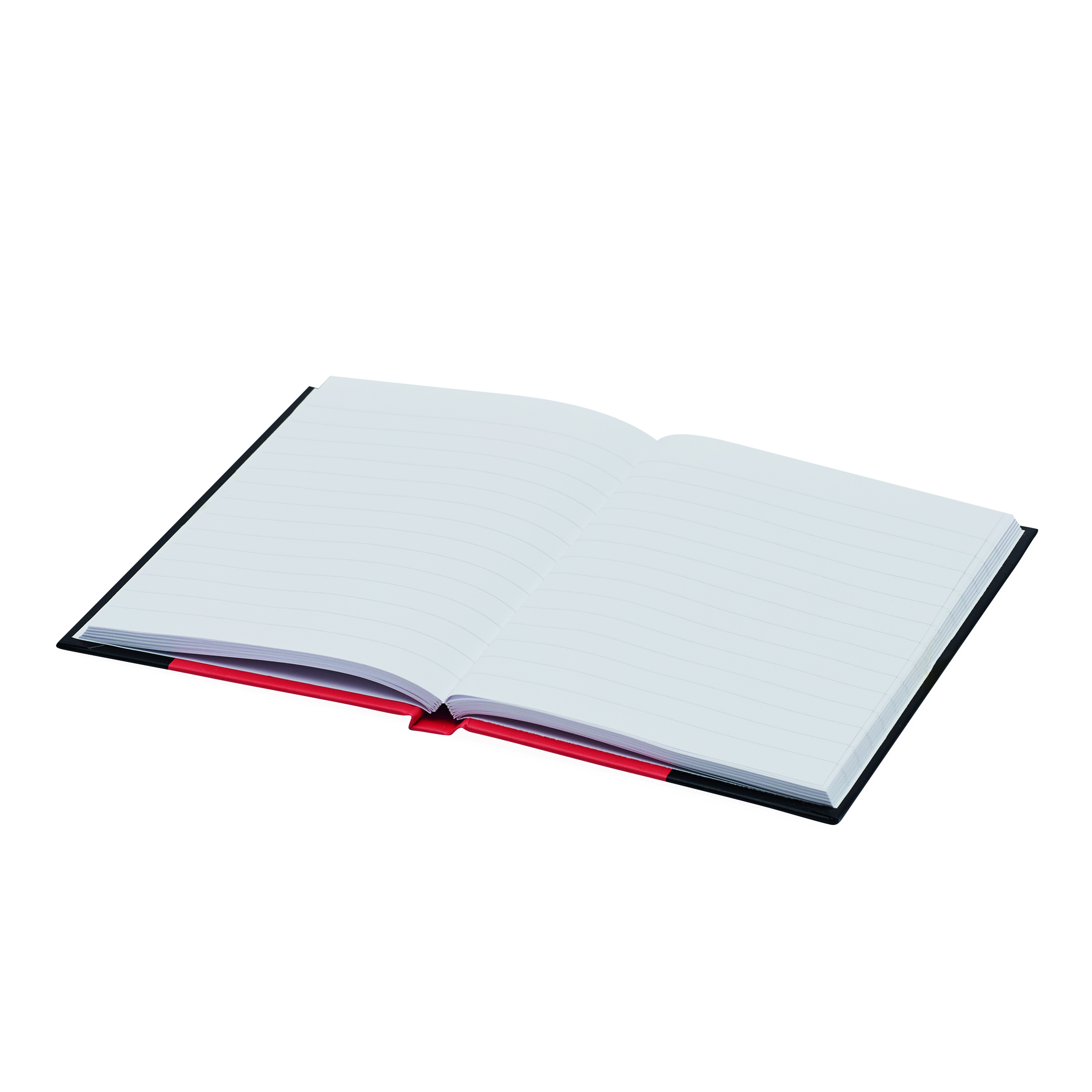 Notizbuch SIGNUM im DIN-A5-Format 56-1103323