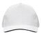 5-Panel-Sandwich-Cap WALK