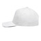 5-Panel-Sandwich-Cap WALK