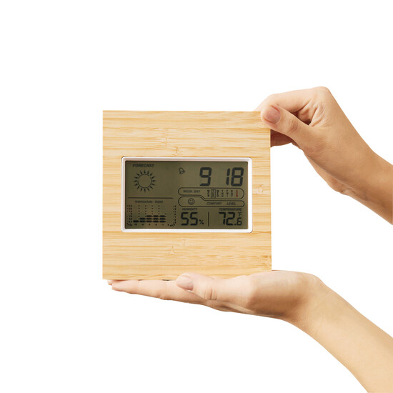 Wetterstation FORECAST, braun