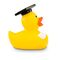 gelbe Werbeente Albert Akademiker mit Absolventenhut und Diplom, Größe: ca. 8 cm. Inklusive Quietschventil