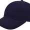 Turned Brushed Cap