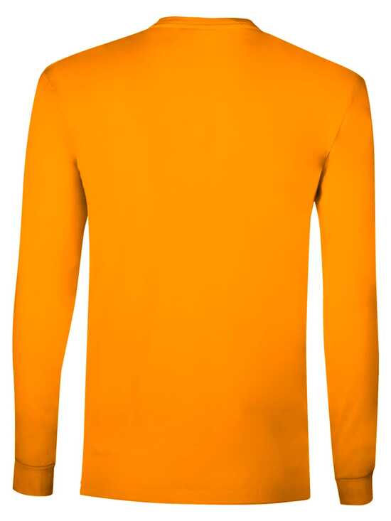 BS Evolution Langarm-T-Shirt, 160 g/m2, 100 % Baumwolle