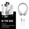 3HP1000 I Fresh 'n Rebel Code Core-Wireless on-ear Headphone