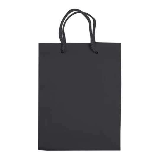 Laminierte Papiertasche, klein