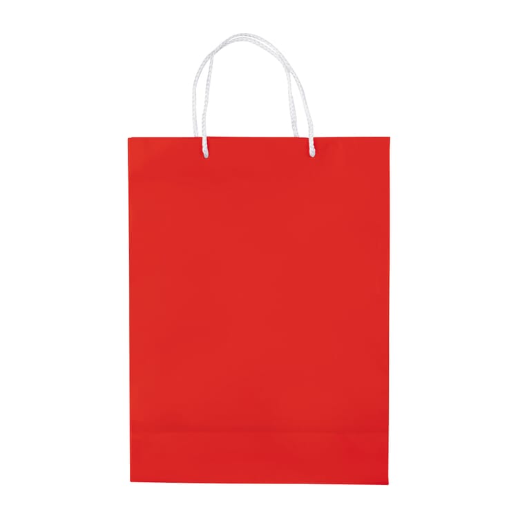 Laminierte Papiertasche, groß