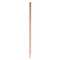 Bleistift Natur