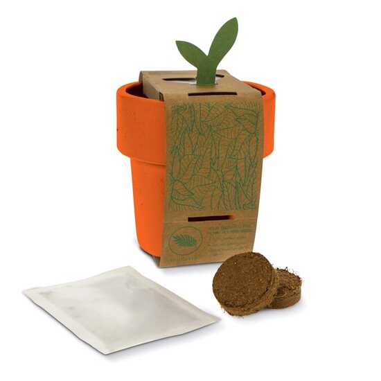 Hot-but-cool Tasse mit Erdbeersamen